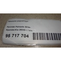 Крышка радиатора Hyundai-Kia Solaris 2017 25330C7000