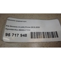 Крышка радиатора Hyundai-Kia Solaris 2017 25330C7000
