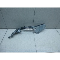 Петля капота левая Renault Scenic IV 2016 654013594R