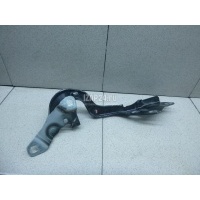 Петля капота правая Renault Scenic IV 2016 654000247R