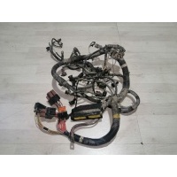 Коса подкапотная(проводка) Renault Logan I (2004—2009) Renault Logan I (2004—2009) 2006 240111212R