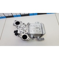 Радиатор системы EGR Hyundai-Kia Santa Fe (TM) 2018 284162R100