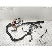 Проводка двигателя BMW 5 E39 (1995-2003) 1998 1433368, 1433358