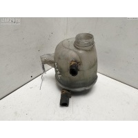 Бачок расширительный Renault Scenic I (1996-2003) 2002 8200060424
