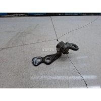 Петля двери передней правой нижняя Ford Focus II (2005 - 2008) 5012194