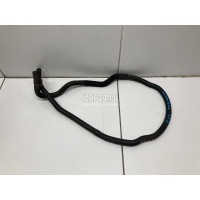 Патрубок Ford Focus II (2005 - 2008) 1386837