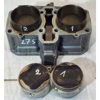 Цилиндры поршни 11005 - 1838 er5 2002r gpz 500