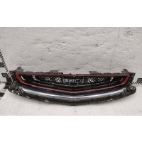 Решетка радиатора Geely Coolray под камеру