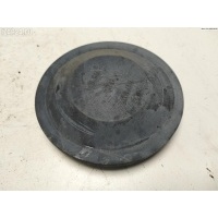 Крышка (заглушка) задняя фары правой Renault Scenic II (2003-2009) 2004 153874