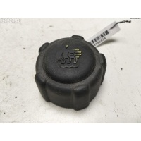 Пробка расширительного бачка Renault Modus 2005 8200048024