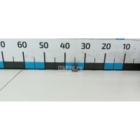 Пружина клапана VAG New Beetle (1998 - 2010) 038109623F