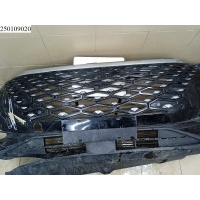 Решетка радиатора CHERY C5 (T19C) 2022– OMODA 602001621AAABW