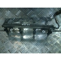 Рампа топливная Qashqai (06-13)/X-Trail (07-14) MR20DE б\у (арт. 17520EE30B)