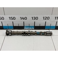 Распредвал впускной VAG A3 [8PA] Sportback (2004 - 2013) 03C109101DC