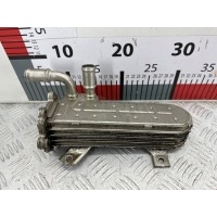 Радиатор системы ЕГР Volkswagen Golf 4 (1997-2004) 2003 038131513D,038131513D