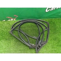 Уплотнители дверей BMW 5 E61 2007 51217057507, 51217057508