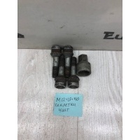 Секретные болты с головкой Mercedes Mercedes W203 C 2000-2007 A0009905407