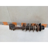 Амортизатор передний Fiat Albea 178 2007 51708824