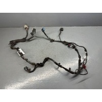 Проводка двери передней правой Dodge Caravan 4 2002 04869518AE
