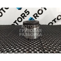 Поршень Scania R 2012 6460,127L39R061