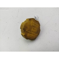 Пробка расширительного бачка Opel Astra H 2005 9202799, 8715350