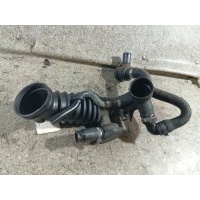 Патрубок воздушного фильтра гофра с 2 вакуумниками. AEB. Volkswagen Passat B5 1999 058133356H
