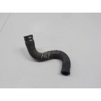 Шланг системы охлаждения Renault Logan (2005 - 2014) 8200147892