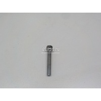Болт Renault Kangoo (2003 - 2008) 7703101564
