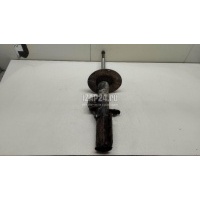 Амортизатор передний левый BMW X5 E53 (2000 - 2007) 31316764601