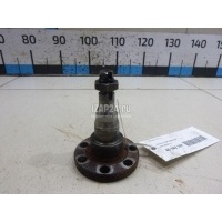 Цапфа (п.з.к.) VAG Pointer/Golf BR (2004 - 2009) 357501117
