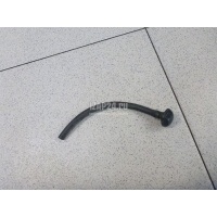 Форсунка омывателя лобового стекла Renault Scenic RX4 (2000 - 2003) 289321198R