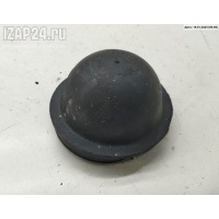 Крышка (заглушка) задняя фары правой Volkswagen Passat B5+ (GP) 2002 154426