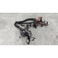 Проводка двигателя BMW 5 E39 (1995-2003) 1996 1433358, 1433368