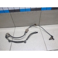 Датчик ABS передний левый Hyundai-Kia Tucson (2004 - 2010) 956702E300
