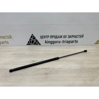 Амортизатор капота Exeed VX M36T 2021-2024 554000335AA