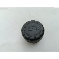 Пробка расширительного бачка Mercedes W168 (A) 1999 1685010115