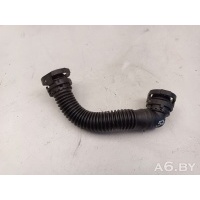 Патрубок вентиляции картера Volkswagen Golf 7 2019 04L103493