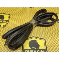 Уплотнитель на дверь Nissan Murano Z50 2006 80831CB00B