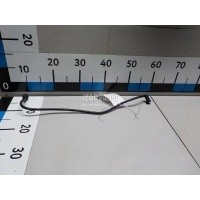 Трубка вакуумная Renault Scenic II (2003 - 2009) 8200176997