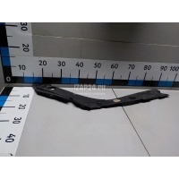 Накладка декоративная Renault Scenic II (2003 - 2009) 8200187674