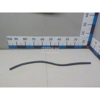Уплотнитель двери Renault Scenic II (2003 - 2009) 8200097492