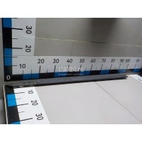 Молдинг передней левой двери Renault Scenic II (2003 - 2009) 7701474984