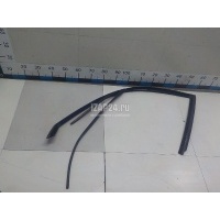 Уплотнитель стекла двери Renault Scenic II (2003 - 2009) 7701475616