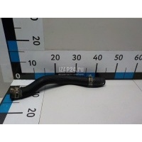 Патрубок радиатора Mazda Mazda 6 (GG) (2002 - 2007) LF1715186