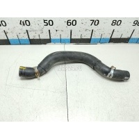 Патрубок радиатора Mazda Mazda 6 (GG) (2002 - 2007) LFH115186