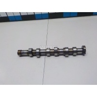 Распредвал VAG Polo (2001 - 2009) 03D109101K