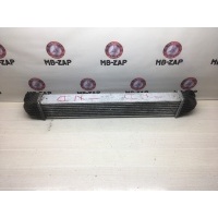 Интеркулер Mercedes W169 Mercedes W211 E 2002-2009 A1695000000