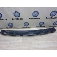 Решетка капота Mercedes W211 Mercedes W211 E 2002-2009 A2118800005