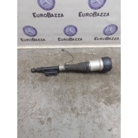 Пневмоамортизатор задний правый Mercedes W221 Mercedes W221 S 2005-2013 A2213205613