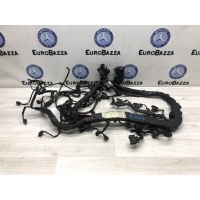Проводка двигателя Mercedes Om651 Mercedes W212 E 2009> A6511504633
